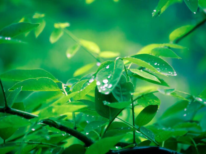 土壤重金屬檢測儀的使用規范 土壤重金屬檢測儀的使用規范