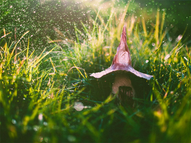 測(cè)土配方施肥儀技術(shù)特點(diǎn)