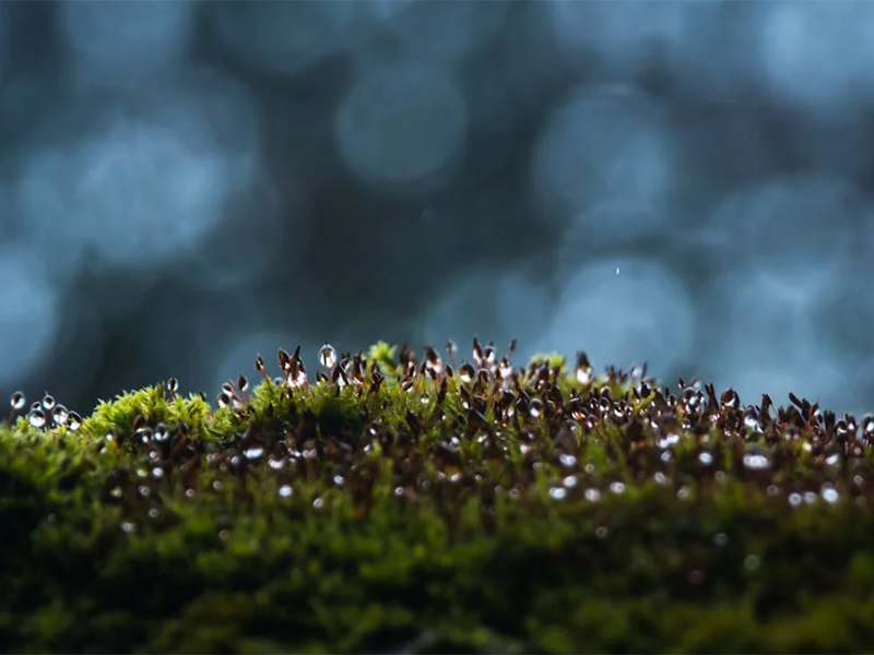 土壤電導(dǎo)率檢測(cè)的意義