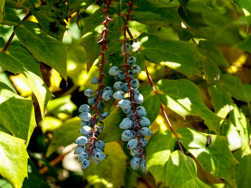 土壤肥料養分檢測儀核心優勢
