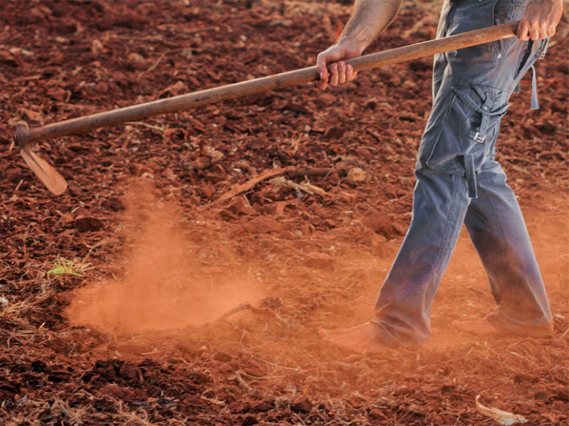 土壤微量元素檢測儀主流機型