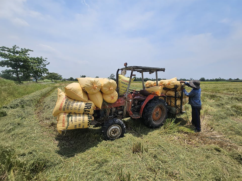 土壤肥料碳氮比檢測(cè)儀使用方法