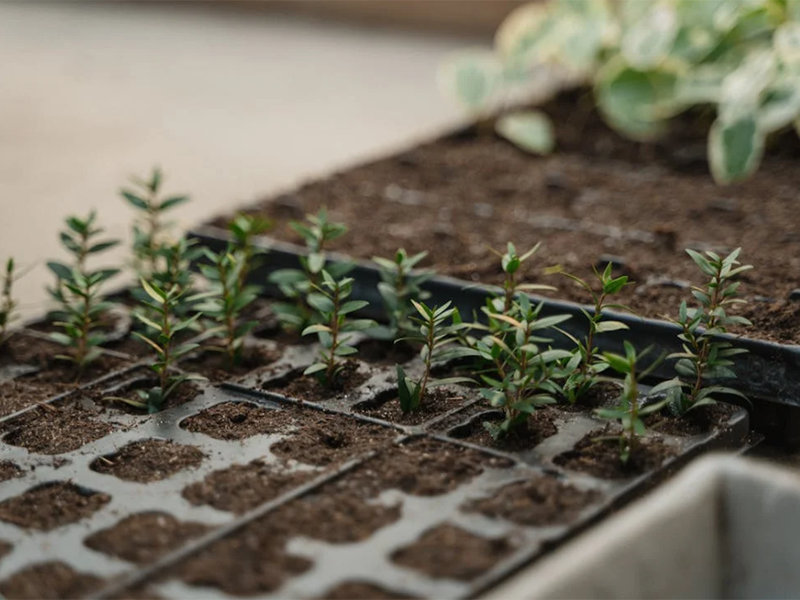 土壤氧化還原電位儀詳細參數指標