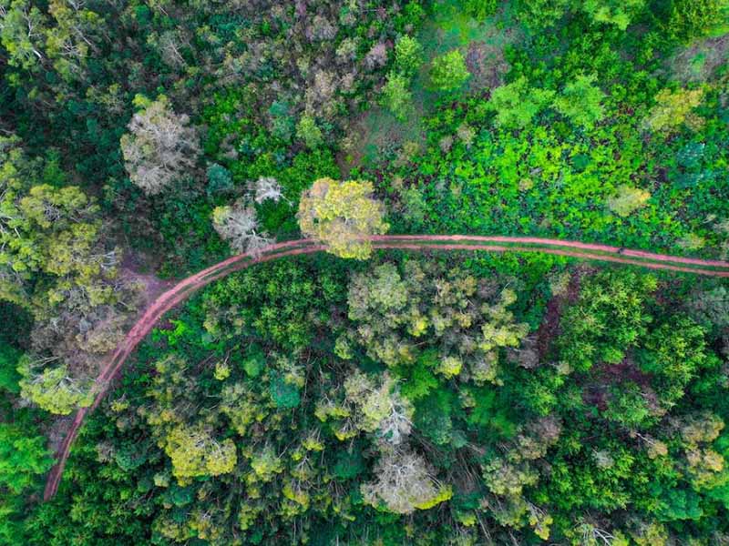 土壤五參數測定儀功能介紹