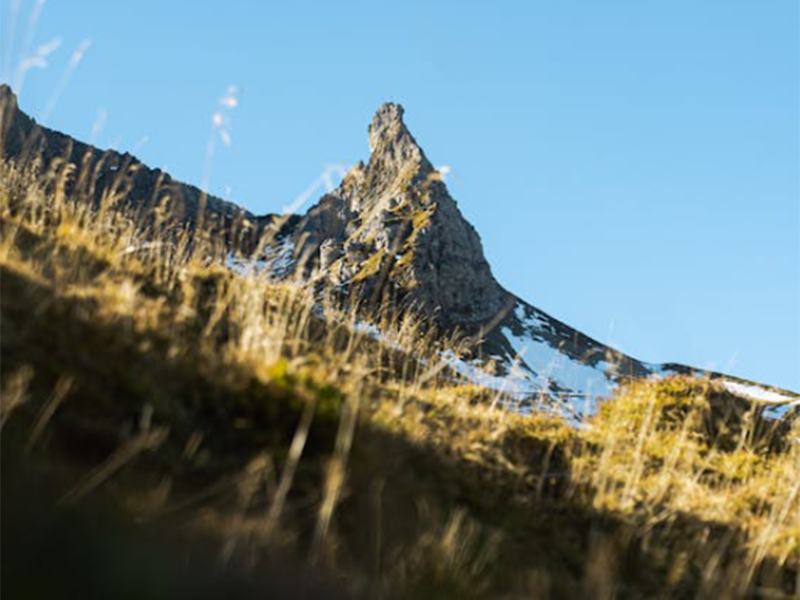 土壤堅(jiān)實(shí)度指的是什么