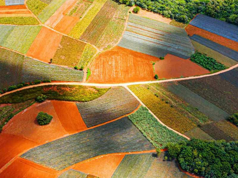 土壤重金屬檢測儀標準流程
