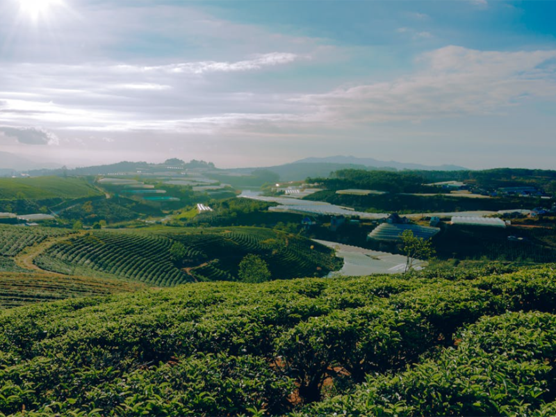 土壤樣品的制備方法詳解