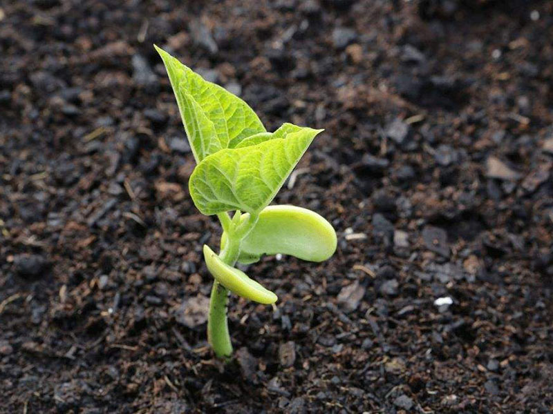 手持土壤重金屬分析儀要怎么選 手持土壤重金屬分析儀要怎么選