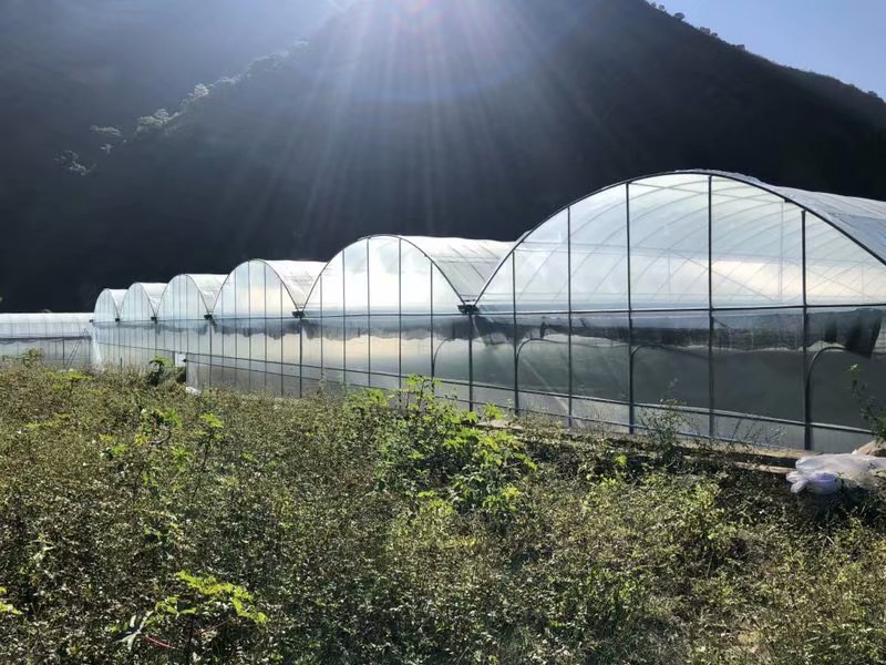 土壤鹽分檢測儀，可輔助溫室大棚種植